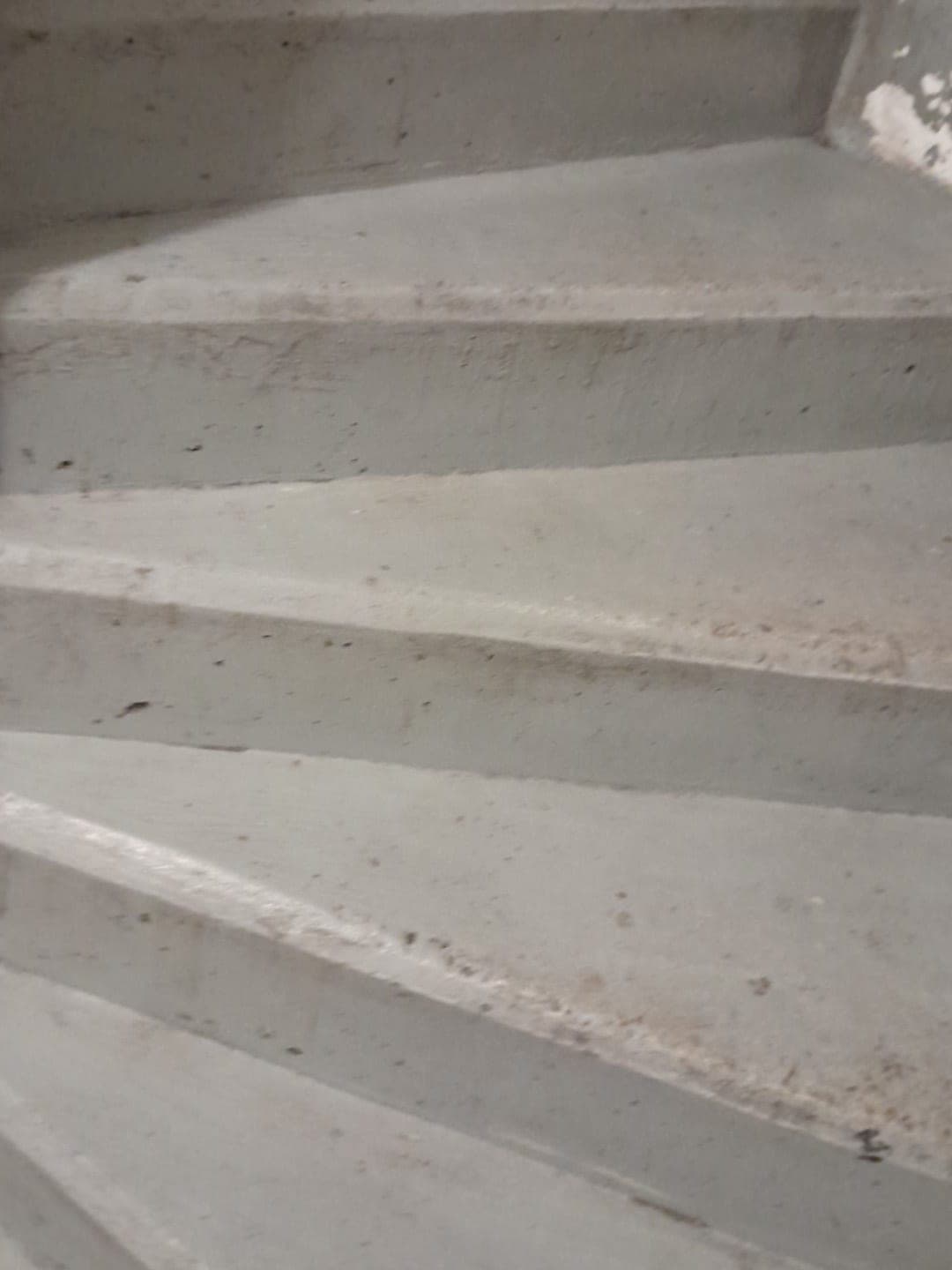 Escalier en béton aux marches peintes en gris, propres